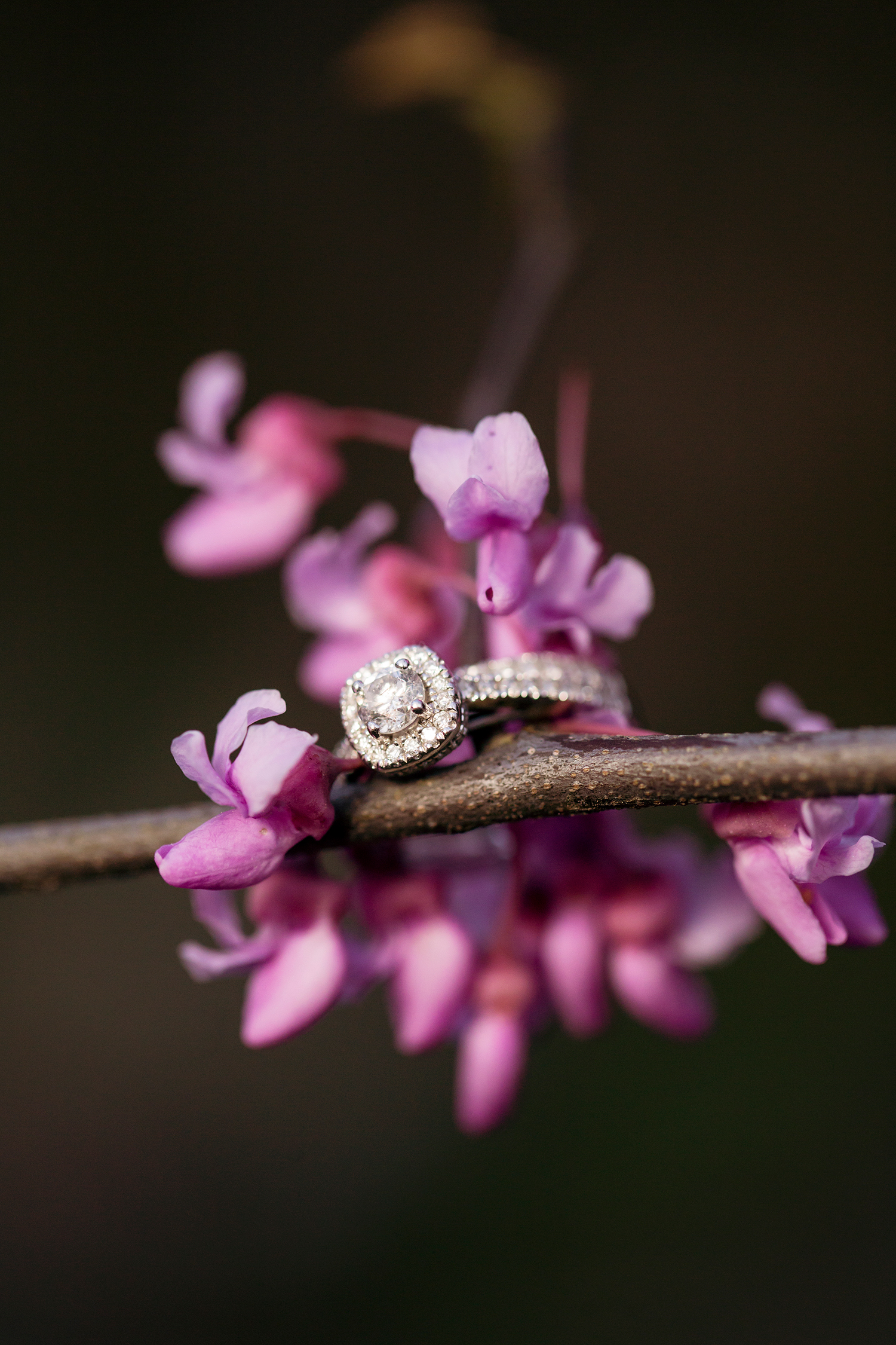 Ashlen Tylers Spring Belle Isle Engagement - Image Property of www.j-dphoto.com