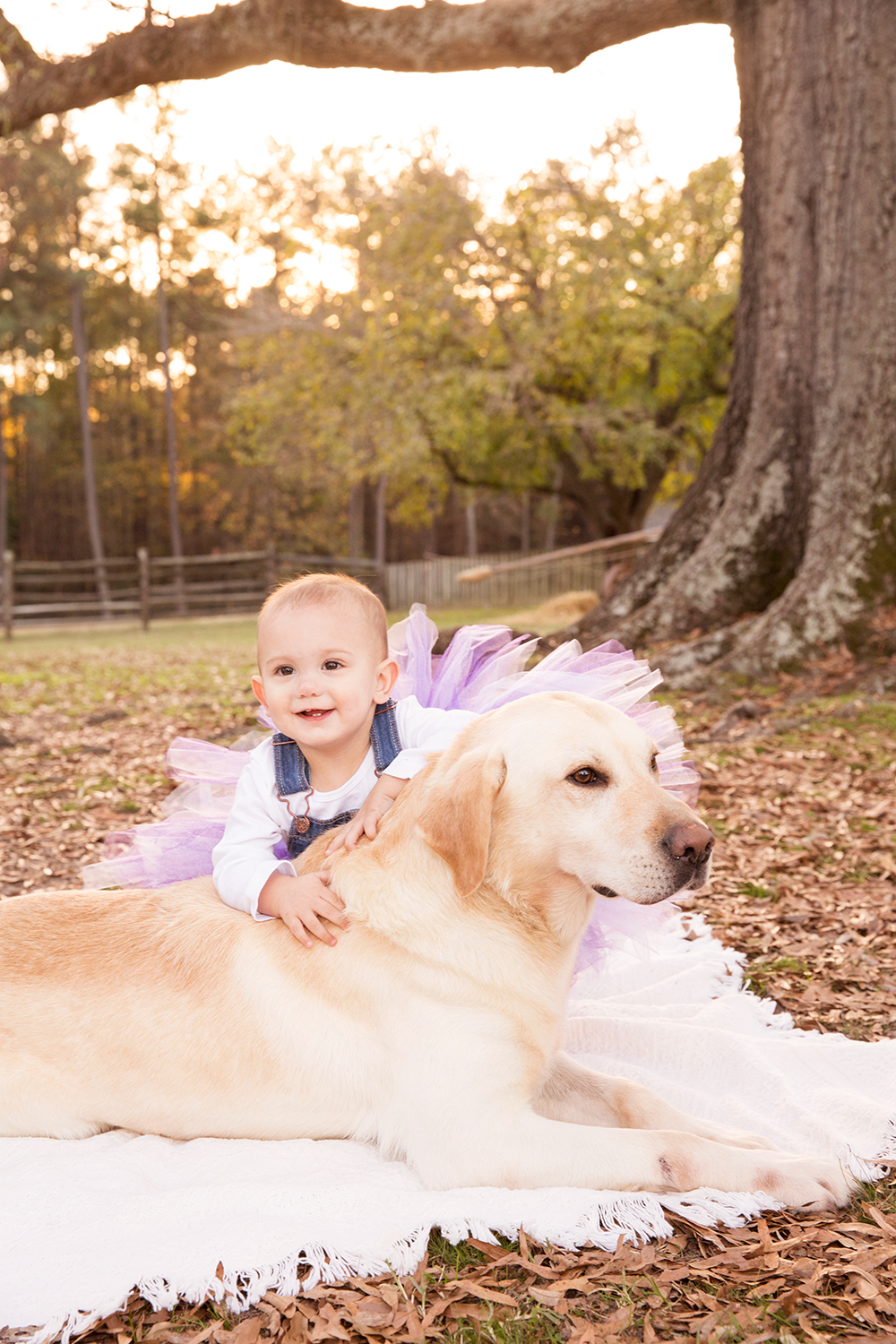 Aubreys First Birthday Photo Shoot - Image Property of www.j-dphoto.com