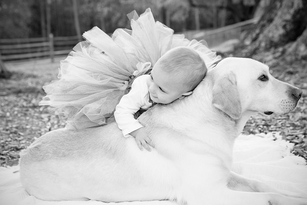 Aubreys First Birthday Photo Shoot - Image Property of www.j-dphoto.com