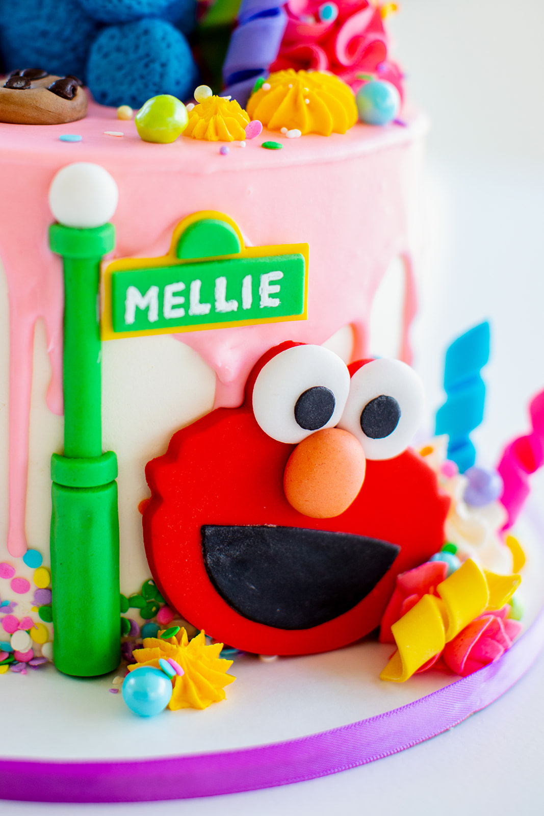 Mellies Sesame Street Second Birthday Celebration - Image Property of www.j-dphoto.com