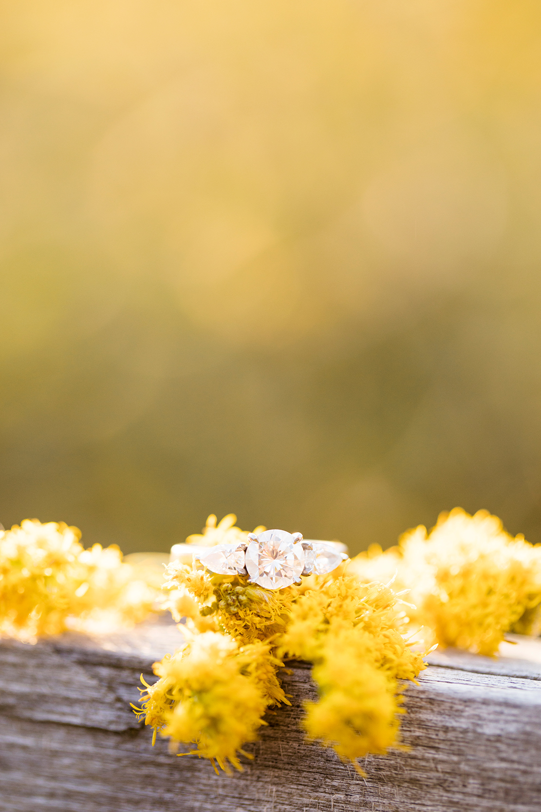 Beth  Devins Engagement Shoot at Humpback Rock - Image Property of www.j-dphoto.com