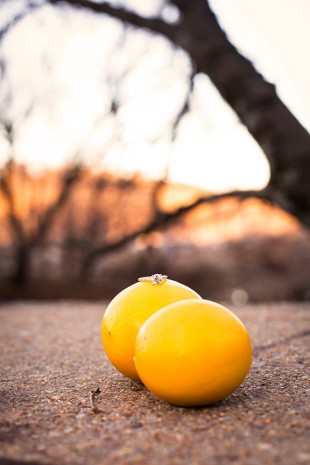 Brooke  Nevins Engagement Shoot on The James - Image Property of www.j-dphoto.com