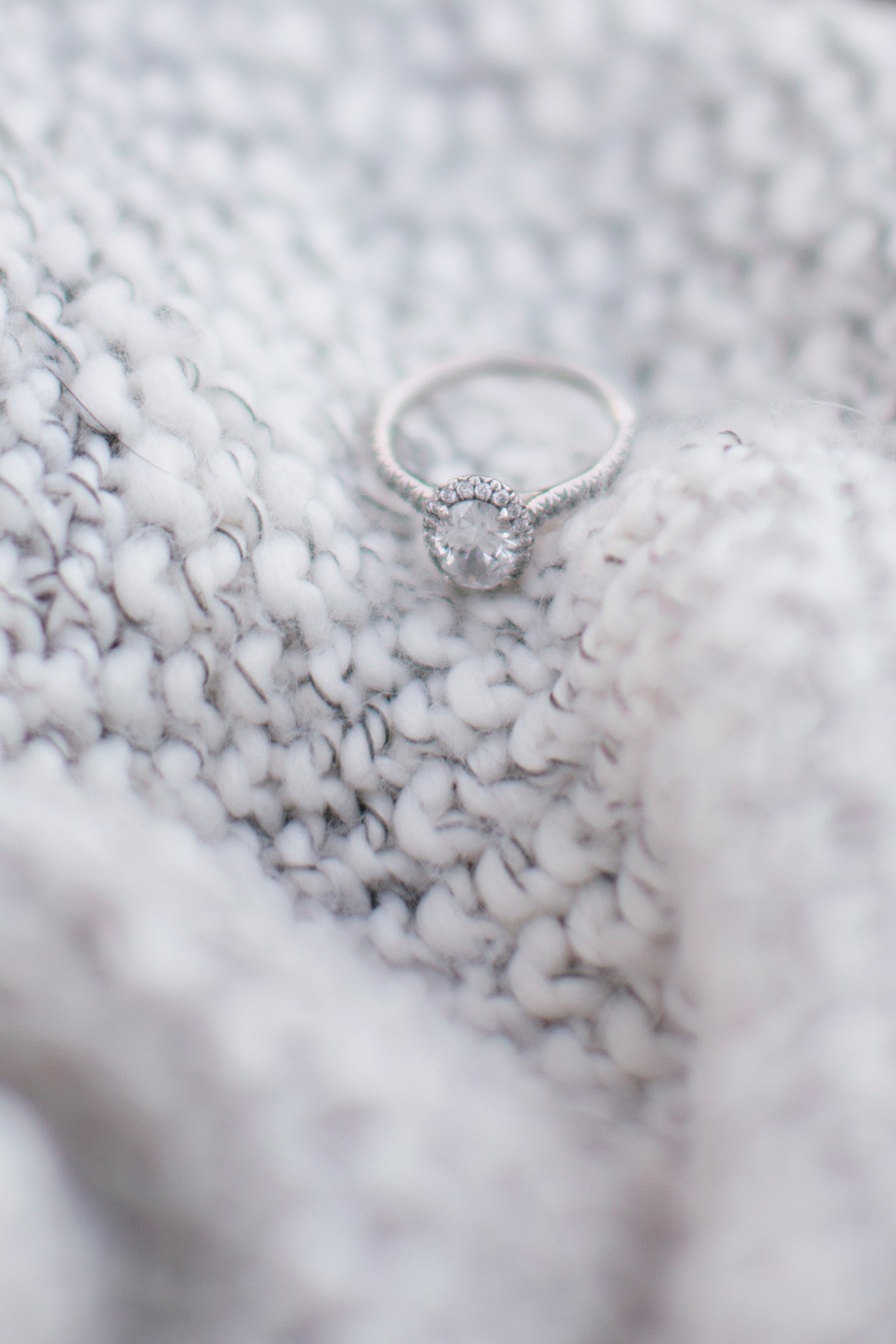 Brooke Stevens Maymont Engagement Session - Image Property of www.j-dphoto.com