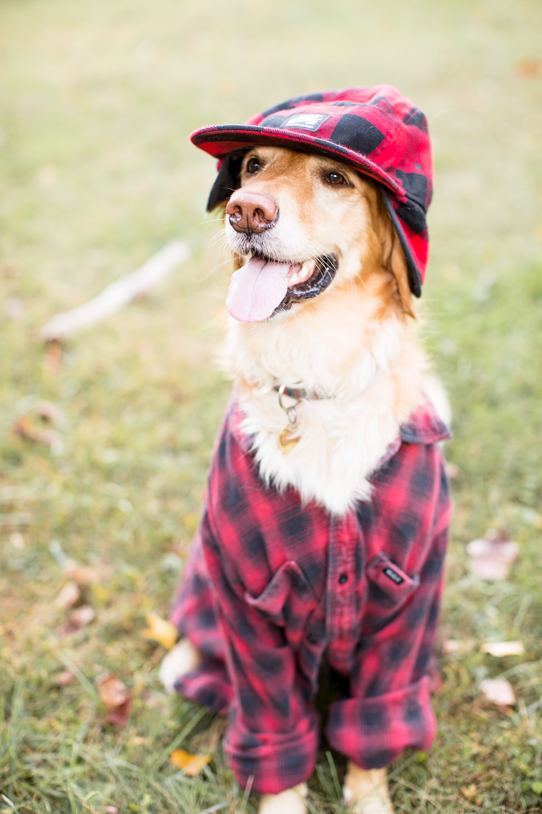 2017 Halloween at JD Photo - Image Property of www.j-dphoto.com