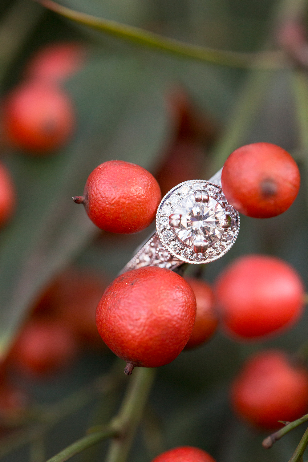 Best Engagement Moments of 2015 - Image Property of www.j-dphoto.com