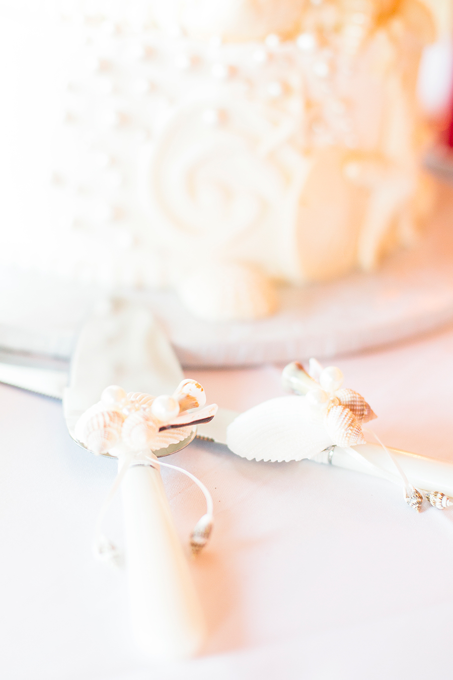 Chelsea  Daves Ocean Isle Beach NC Wedding - Image Property of www.j-dphoto.com