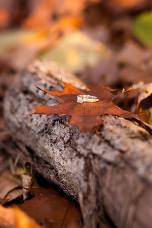 Courtney Jamies Engagement Shoot - Image Property of www.j-dphoto.com