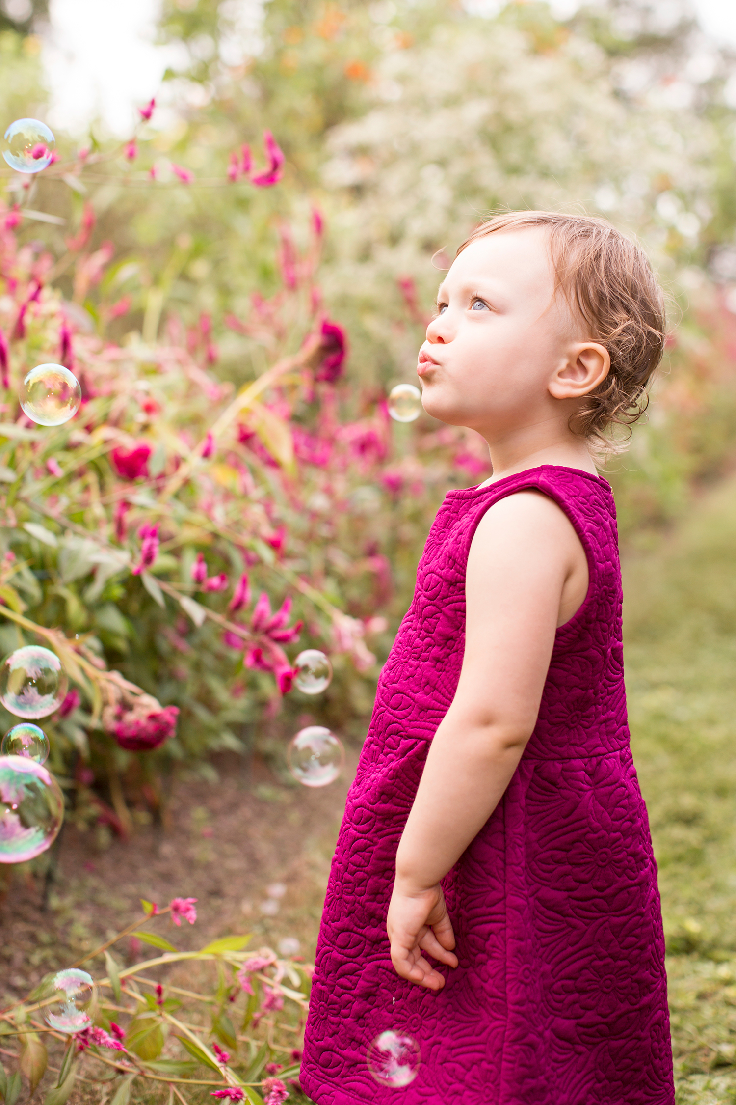 Fall Family Photos at Tuckahoe Plantation - Image Property of www.j-dphoto.com