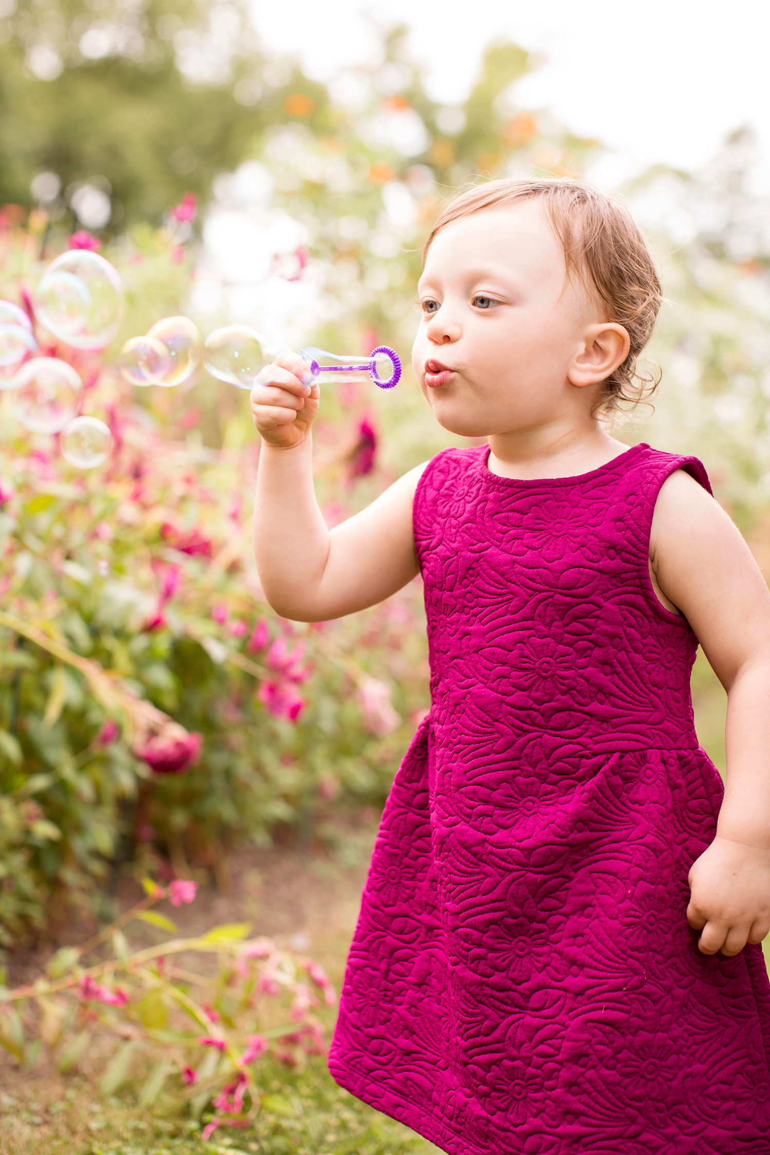 Fall Family Photos at Tuckahoe Plantation - Image Property of www.j-dphoto.com
