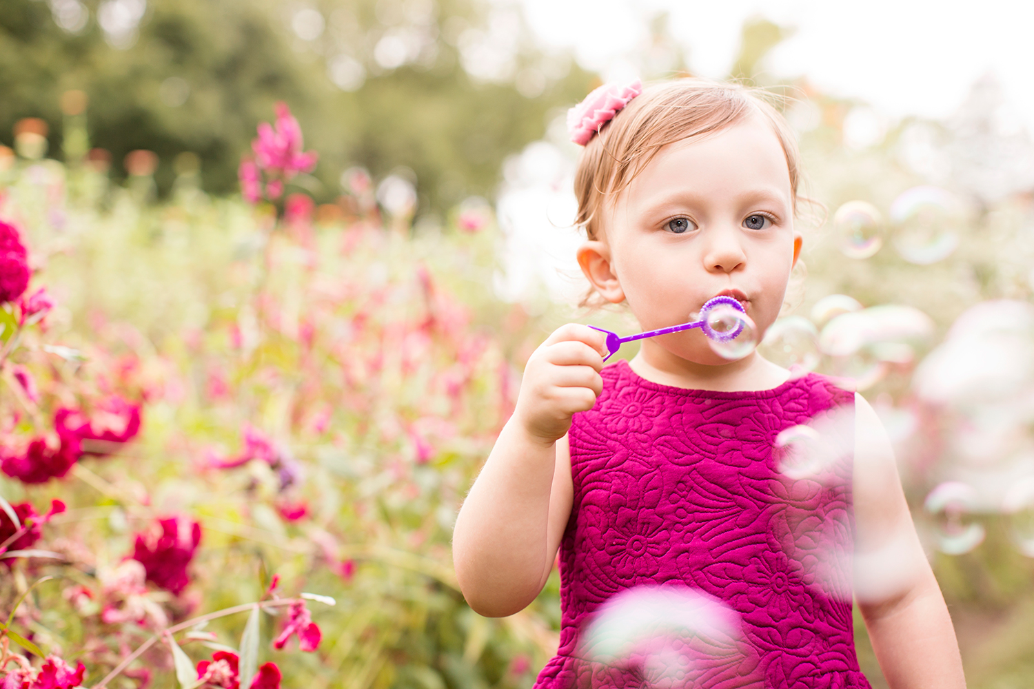 Fall Family Photos at Tuckahoe Plantation - Image Property of www.j-dphoto.com