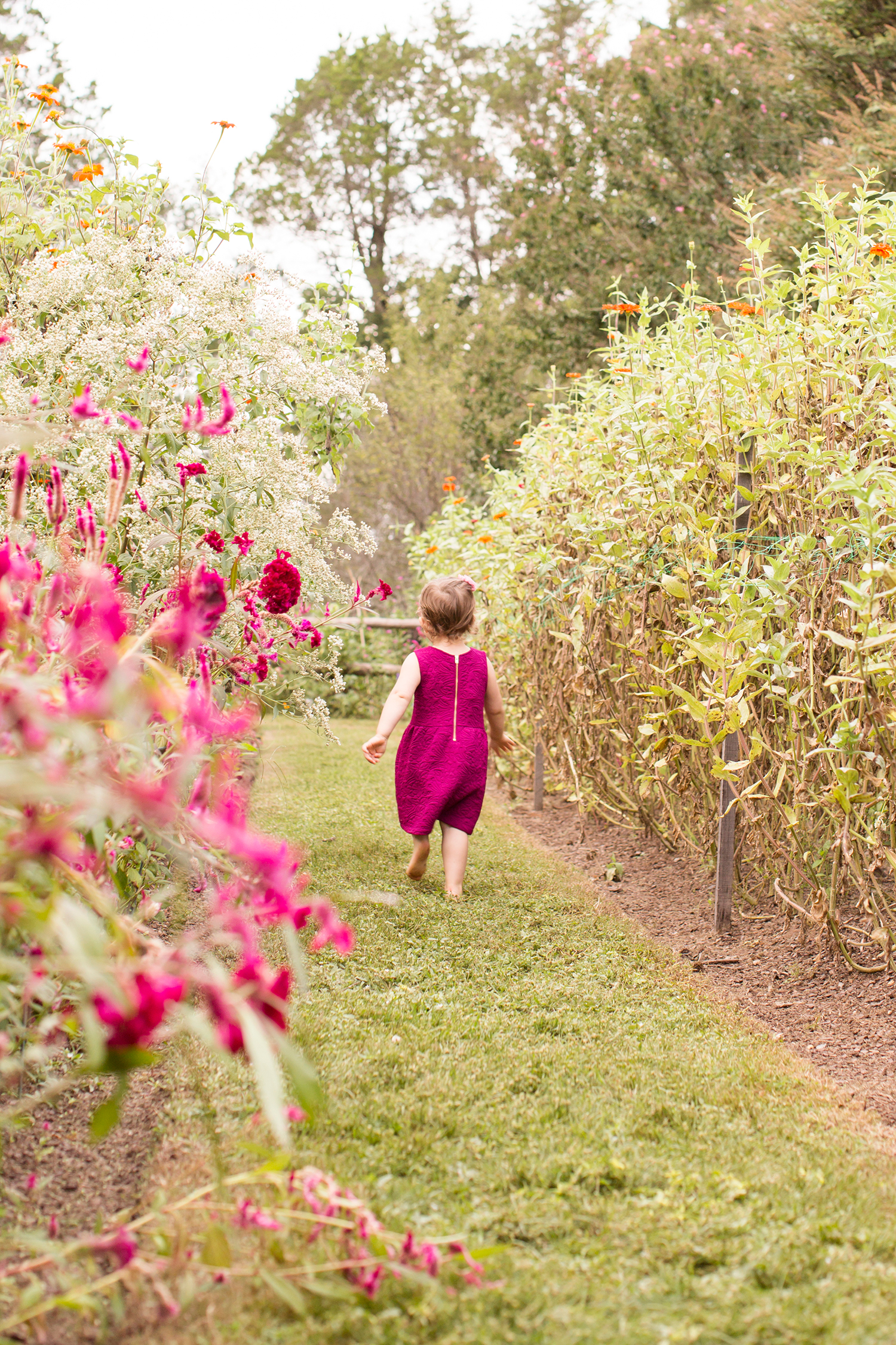 Fall Family Photos at Tuckahoe Plantation - Image Property of www.j-dphoto.com