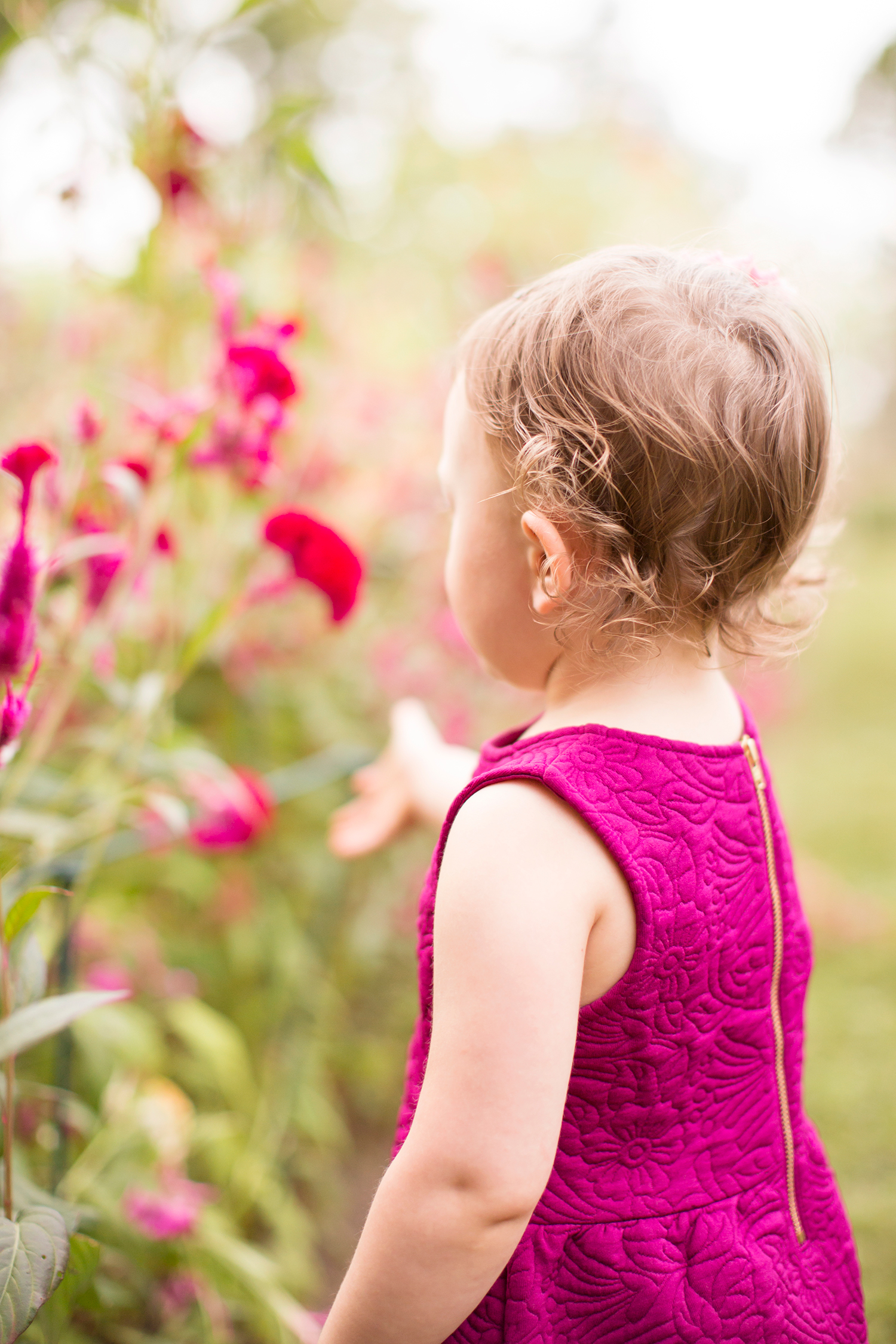 Fall Family Photos at Tuckahoe Plantation - Image Property of www.j-dphoto.com
