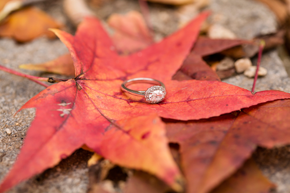 Ginny Gregs River Adventure Engagement Shoot - Image Property of www.j-dphoto.com