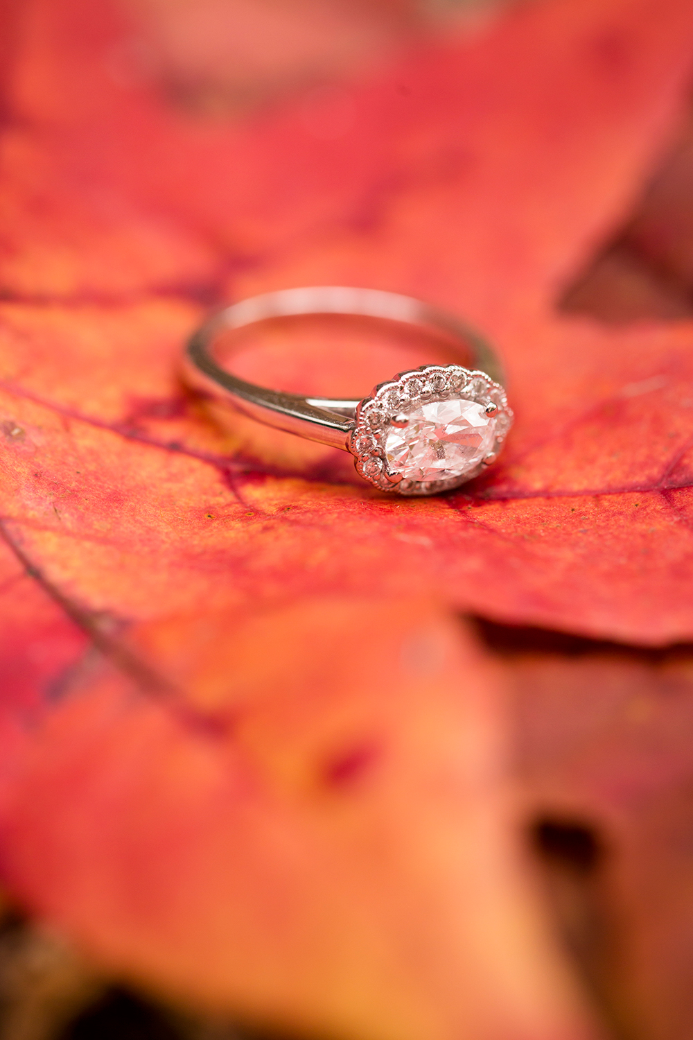 Best Engagement Moments of 2015 - Image Property of www.j-dphoto.com