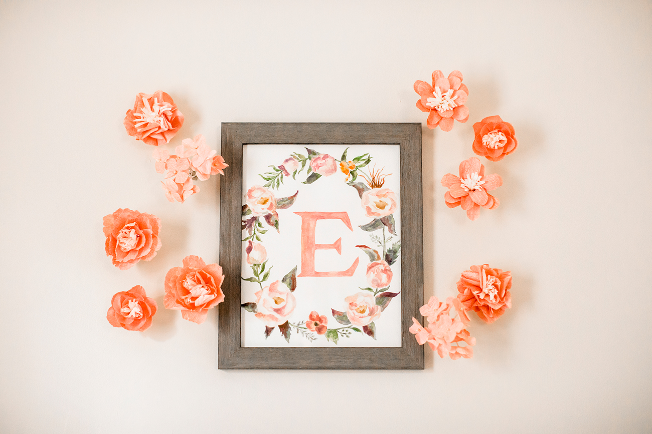 Baby Girl Ellies Newborn Shoot - Image Property of www.j-dphoto.com