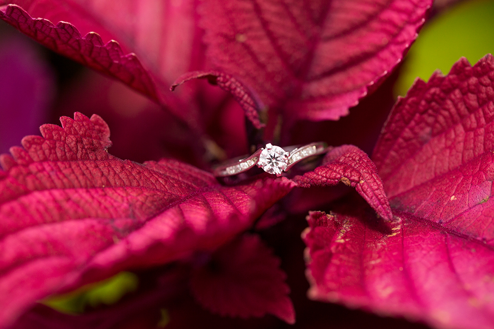 Best Engagement Moments of 2015 - Image Property of www.j-dphoto.com