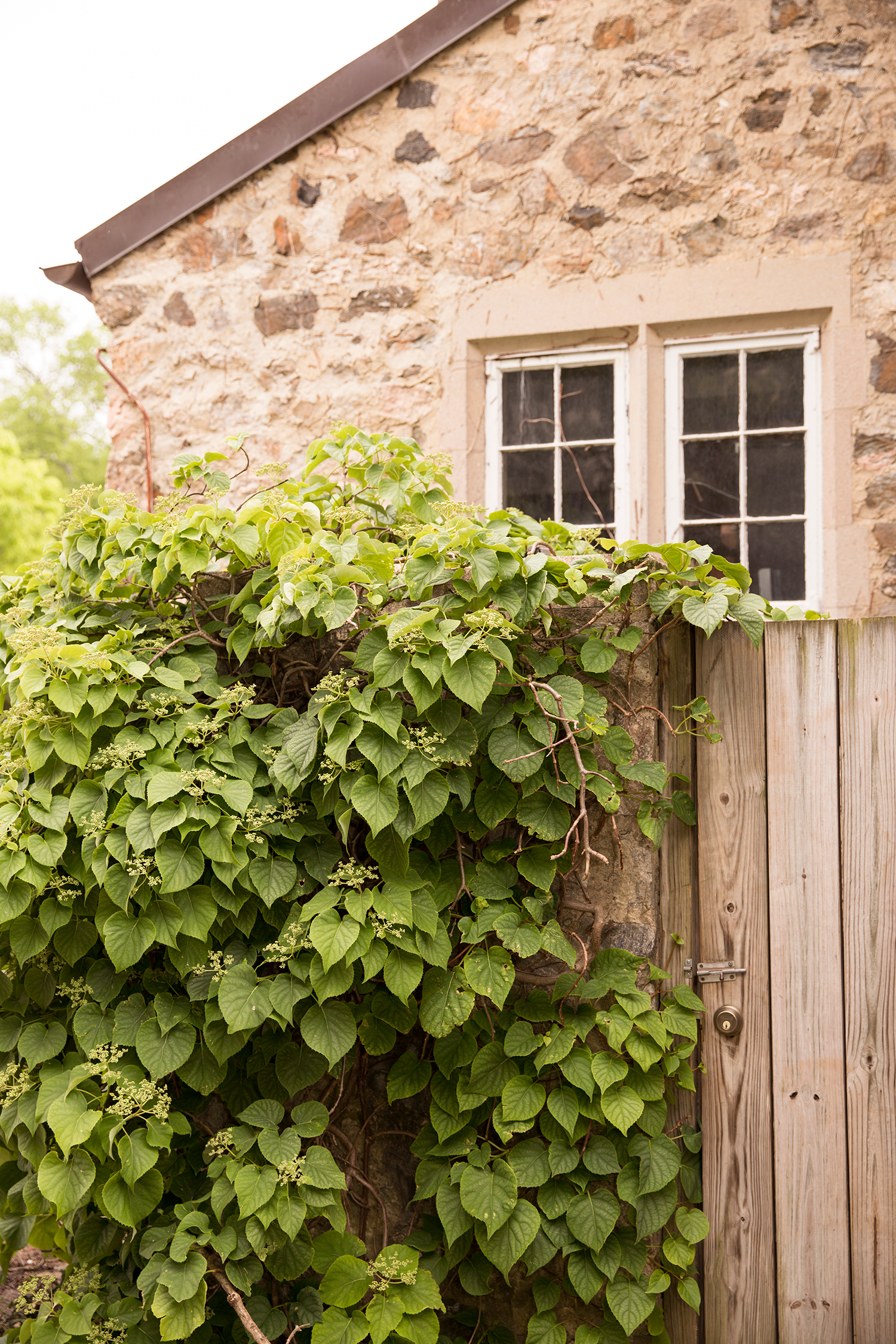 Ibbie  Jebs Pastel Toned Spring Wedding - Image Property of www.j-dphoto.com