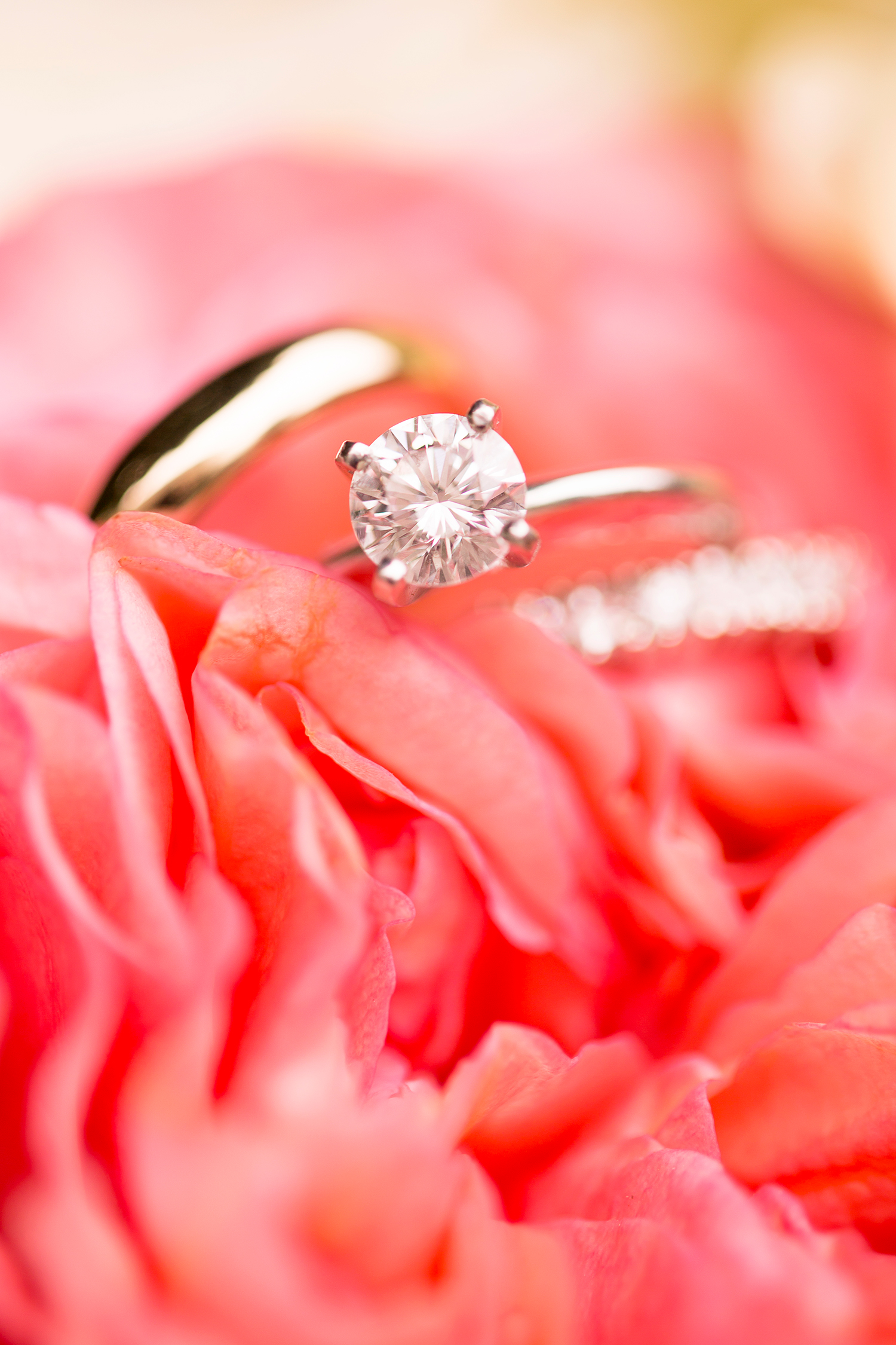 Ibbie  Jebs Pastel Toned Spring Wedding - Image Property of www.j-dphoto.com