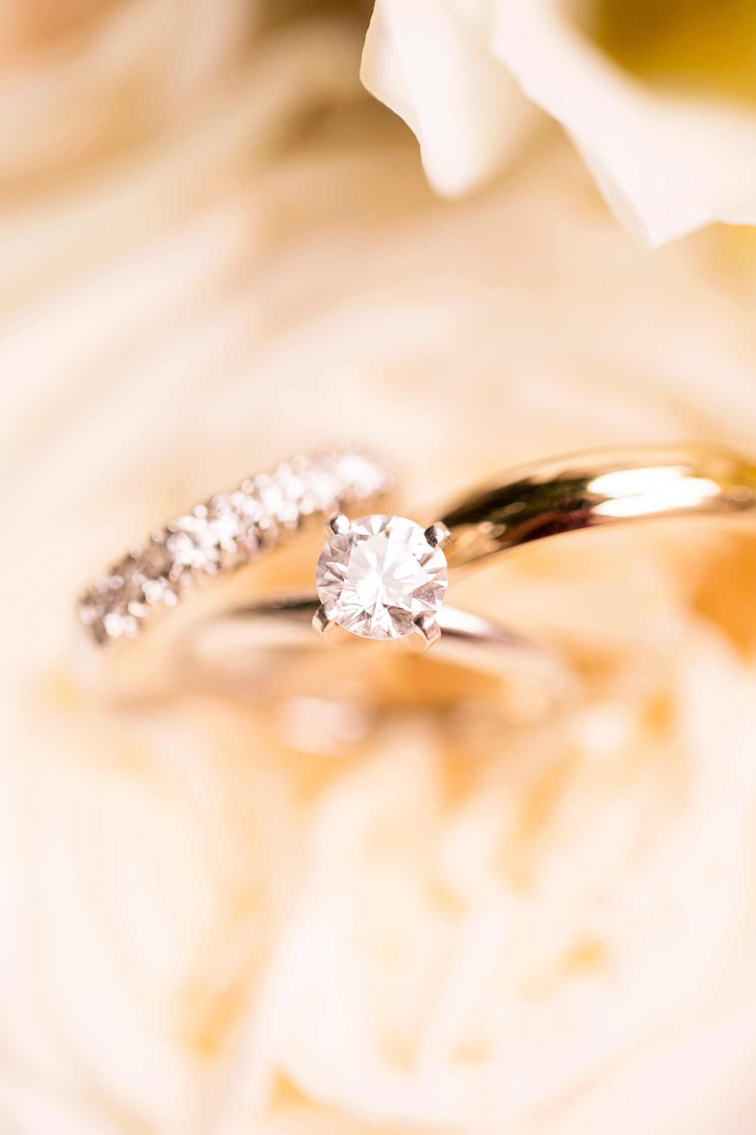 Ibbie Jebs Pastel Toned Spring Wedding - Image Property of www.j-dphoto.com