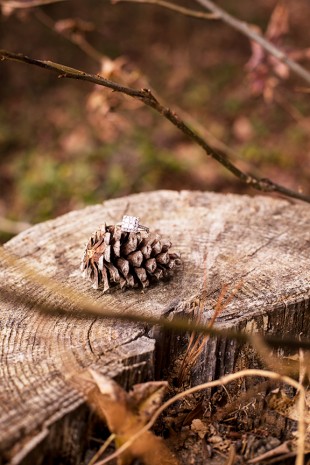 Winter Engagement Photos at Deep Run Park - Image Property of www.j-dphoto.com