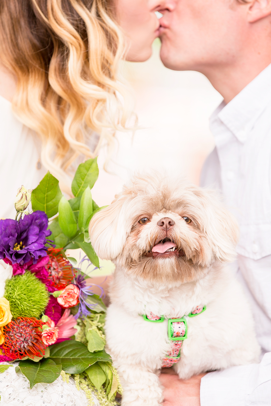 Autumn  Lawrences Elopement at Libby Hill Park - Image Property of www.j-dphoto.com