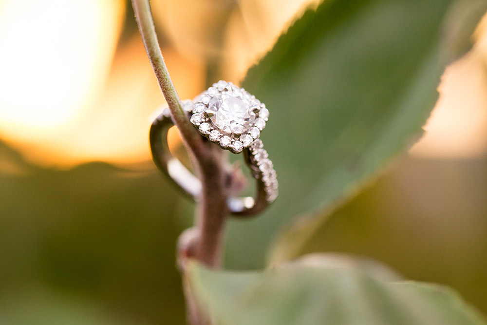 Katherine  Johns Charlottesville Engagement Session - Image Property of www.j-dphoto.com