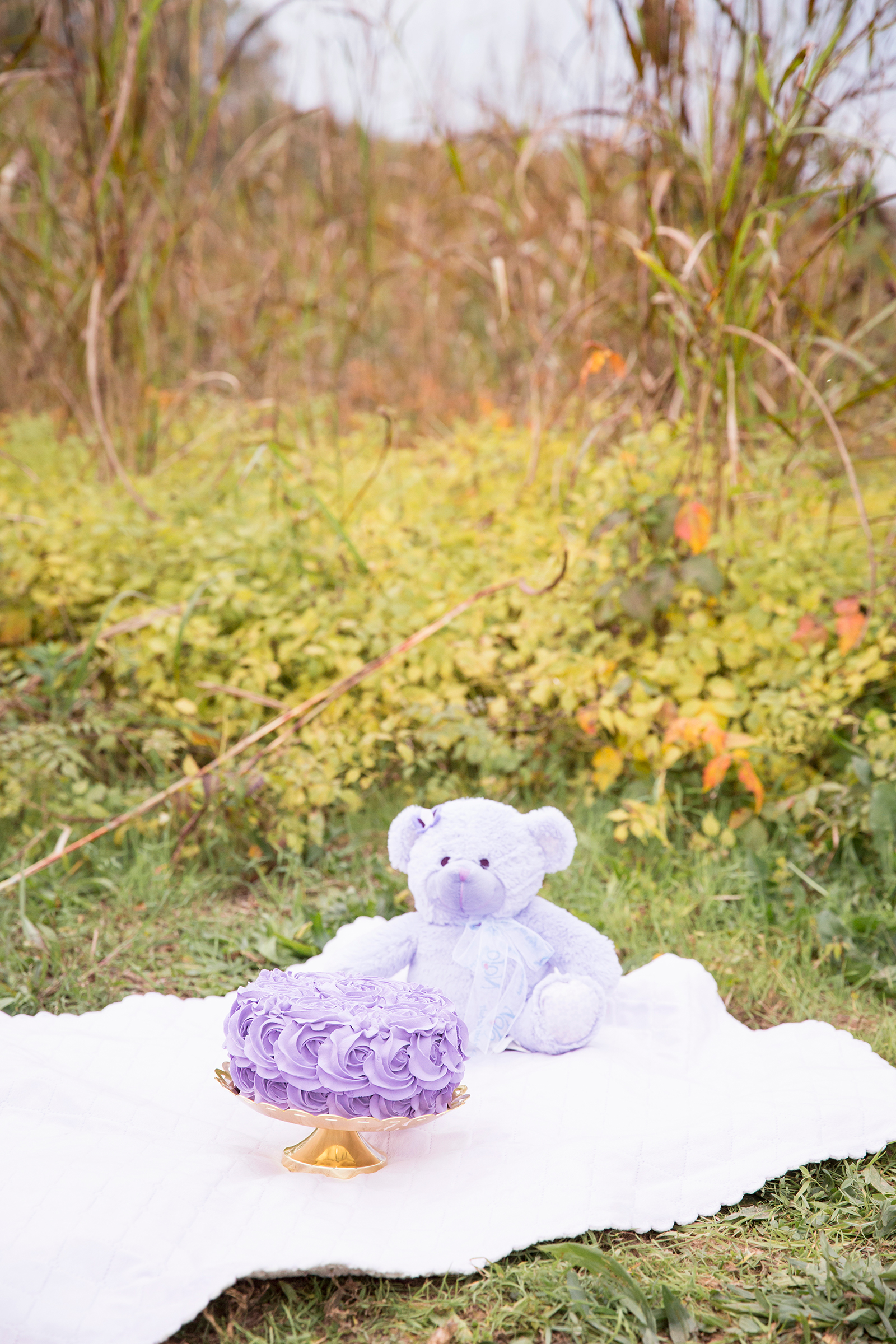 One Year Old Birthday Shoot in Powhatan Virginia  - Image Property of www.j-dphoto.com
