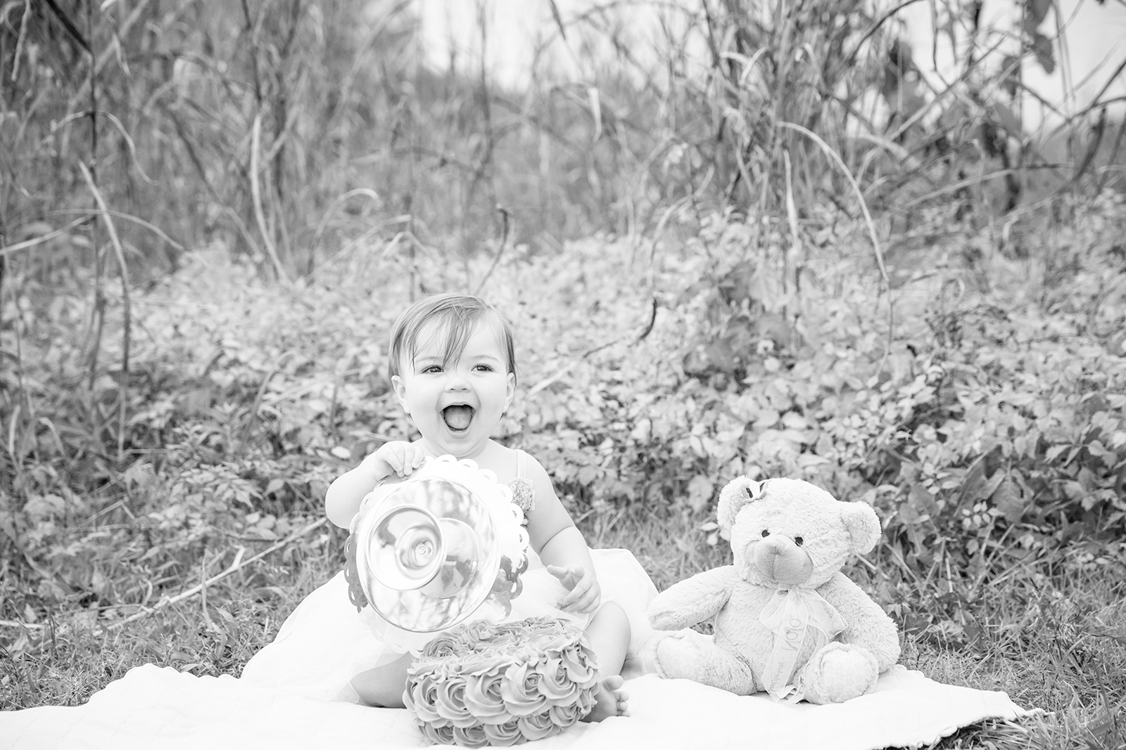 One Year Old Birthday Shoot in Powhatan Virginia  - Image Property of www.j-dphoto.com