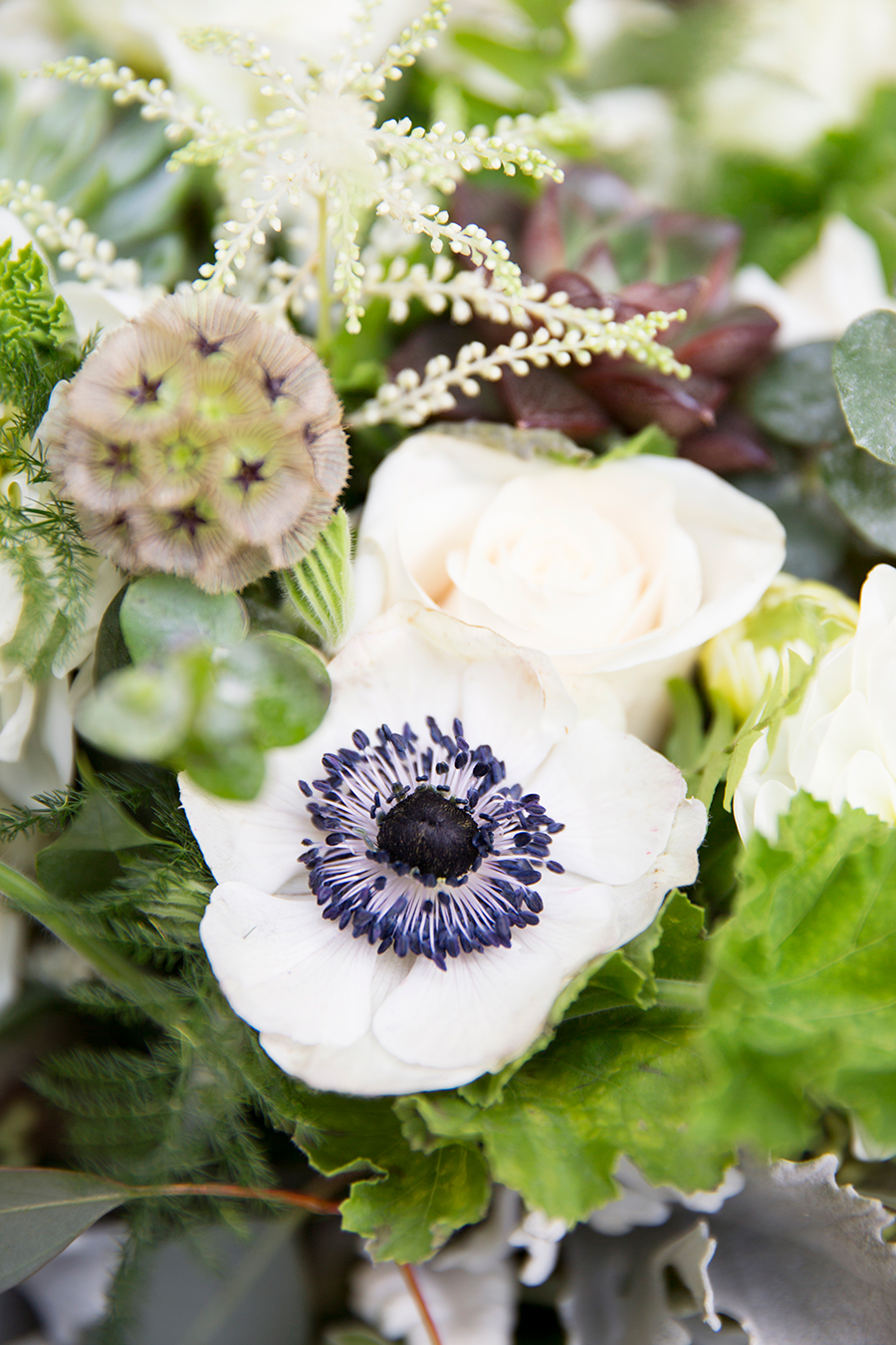 Kirsten  Joshs Mountain Wedding - Image Property of www.j-dphoto.com