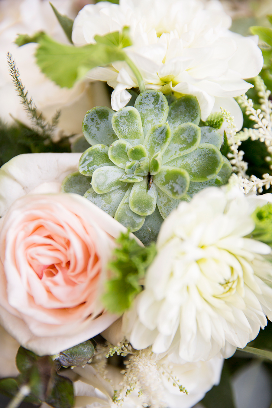 Kirsten  Joshs Mountain Wedding - Image Property of www.j-dphoto.com