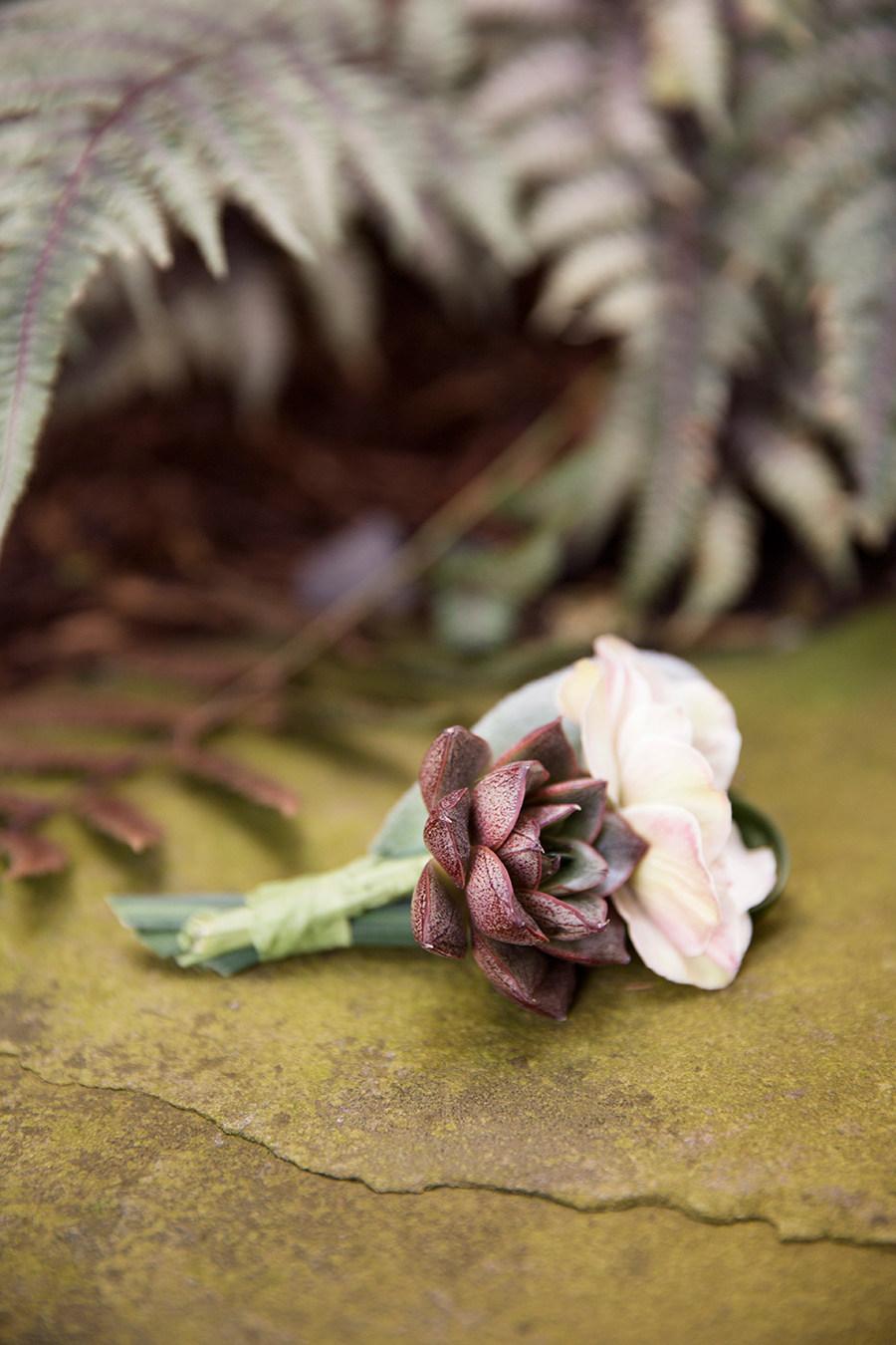 Kirsten  Joshs Mountain Wedding - Image Property of www.j-dphoto.com