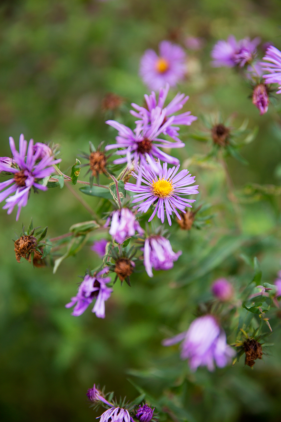 Kirsten  Joshs Mountain Wedding - Image Property of www.j-dphoto.com