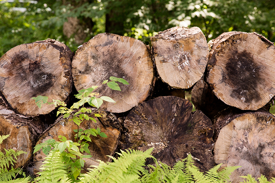 Kirsten  Joshs Mountain Wedding - Image Property of www.j-dphoto.com
