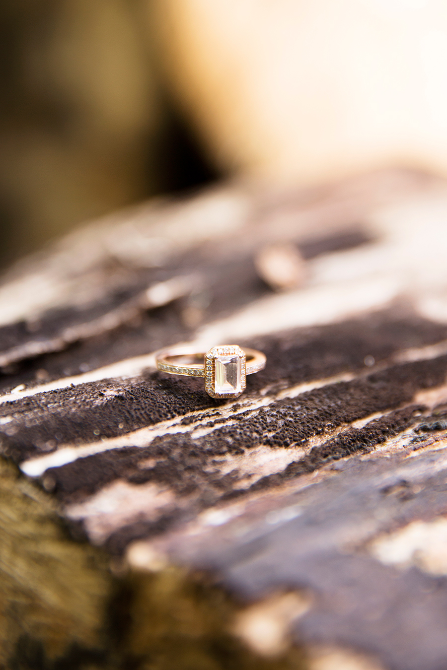 Kirsten  Joshs Mountain Wedding - Image Property of www.j-dphoto.com