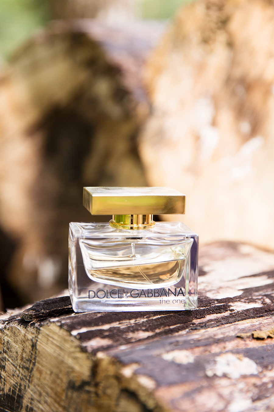 Kirsten  Joshs Mountain Wedding - Image Property of www.j-dphoto.com