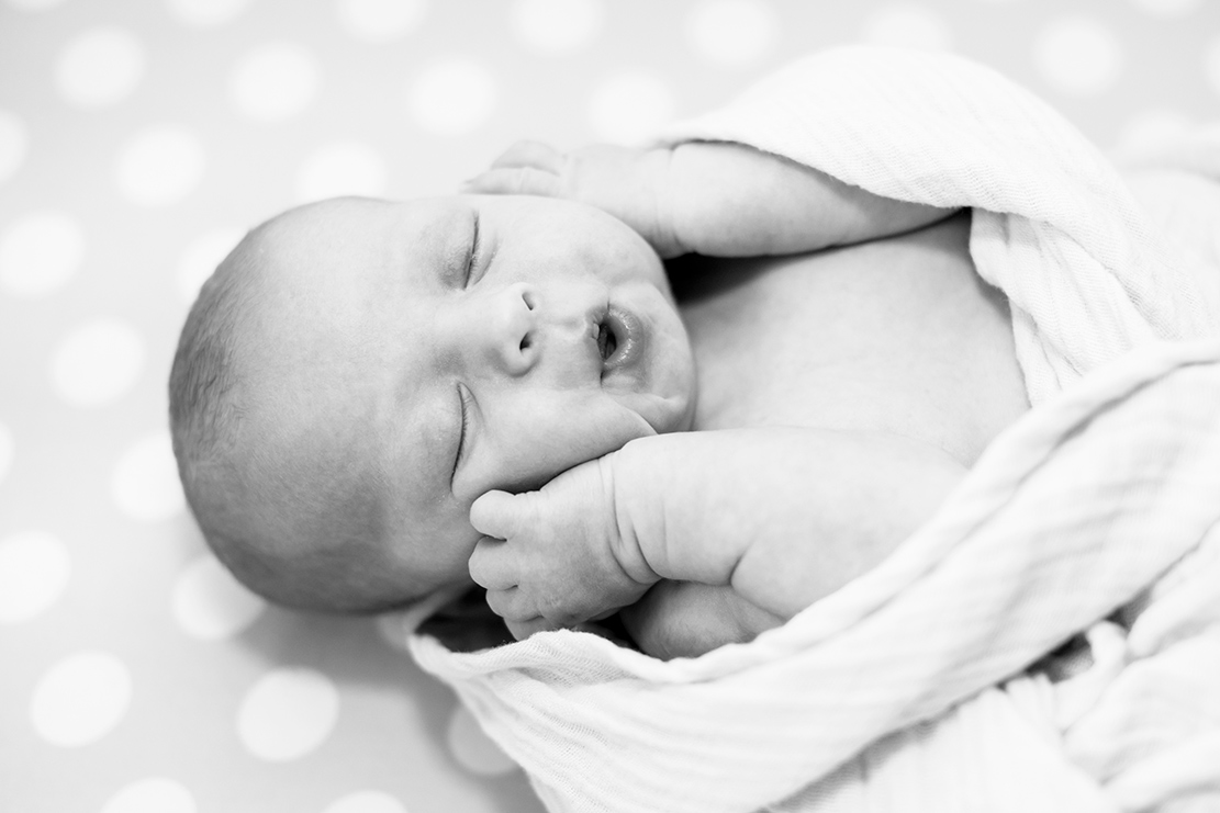 Baby Dentons at Home Newborn Shoot - Image Property of www.j-dphoto.com