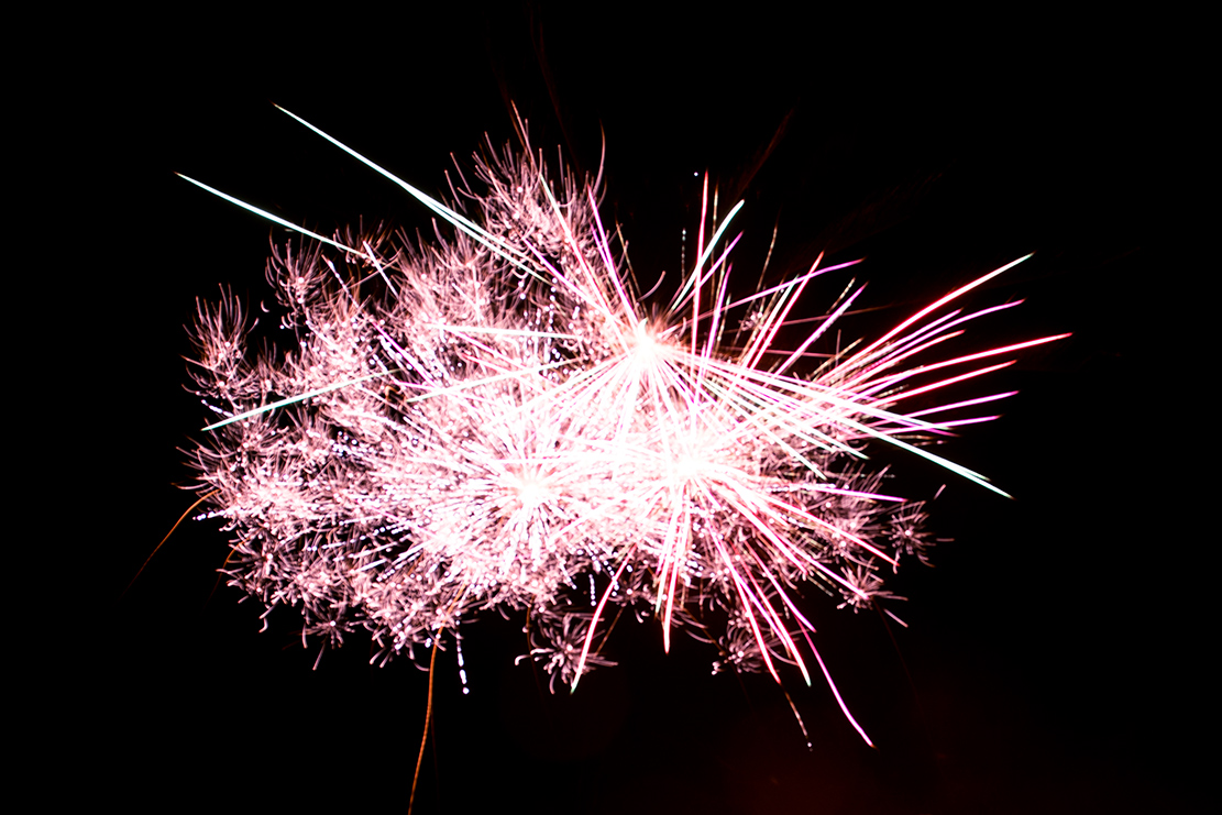 Lauren  Scotts Backyard Firework Filled Wedding - Image Property of www.j-dphoto.com