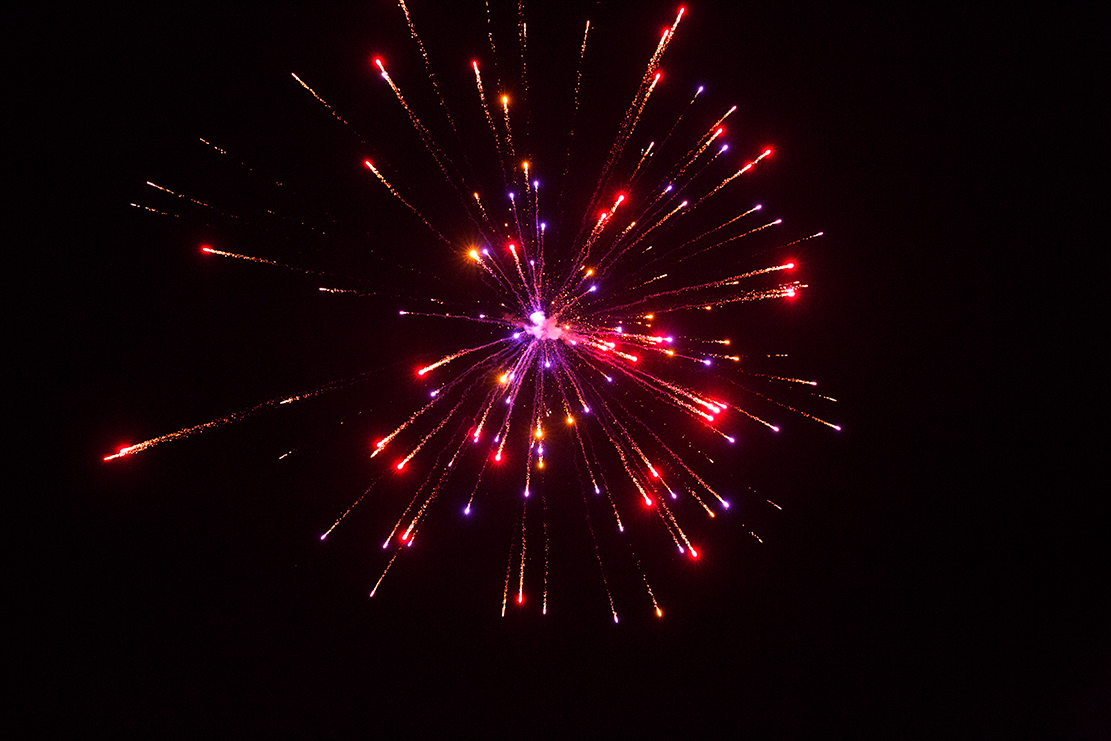 Lauren  Scotts Backyard Firework Filled Wedding - Image Property of www.j-dphoto.com