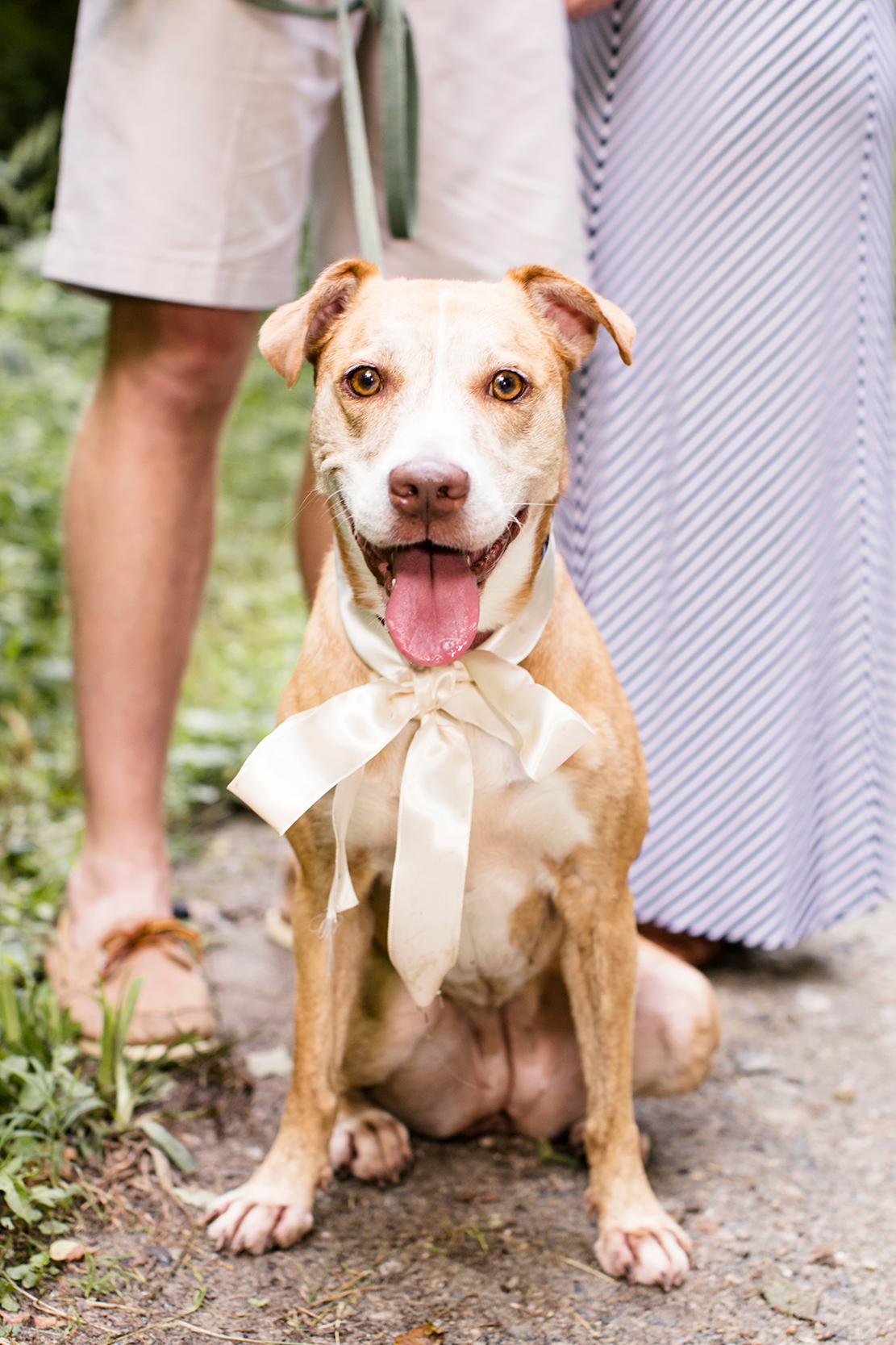 Lauren  Wills James River and Libby Hill Engagement - Image Property of www.j-dphoto.com