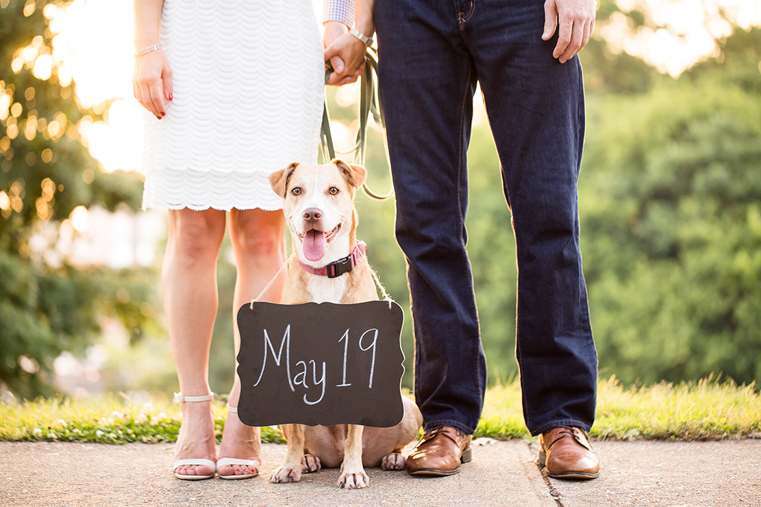 How to Incorporate Your Dog in Your Wedding - Image Property of www.j-dphoto.com