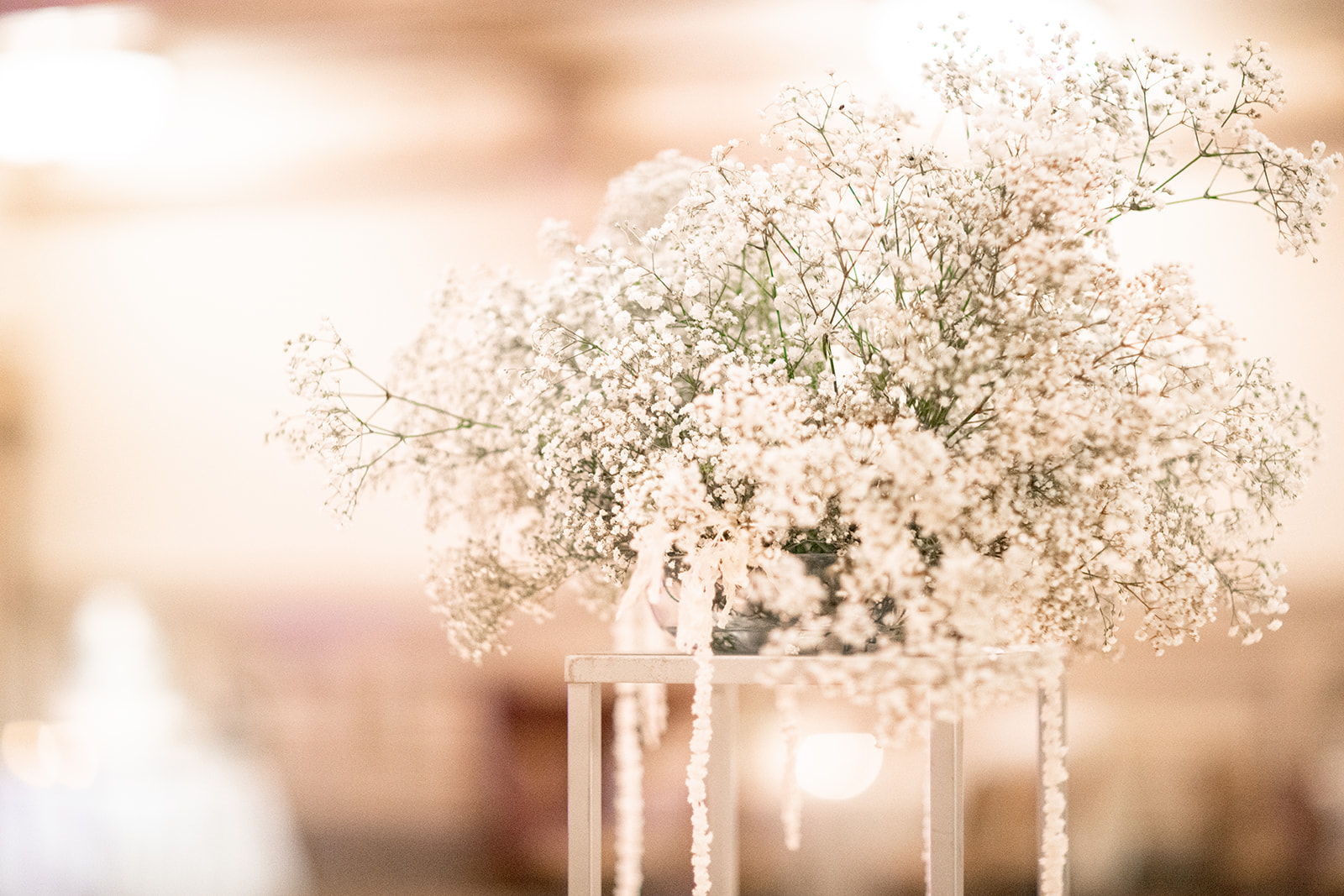 Mallory  Pauls Wedding at The John Marshall Ballroom - Image Property of www.j-dphoto.com