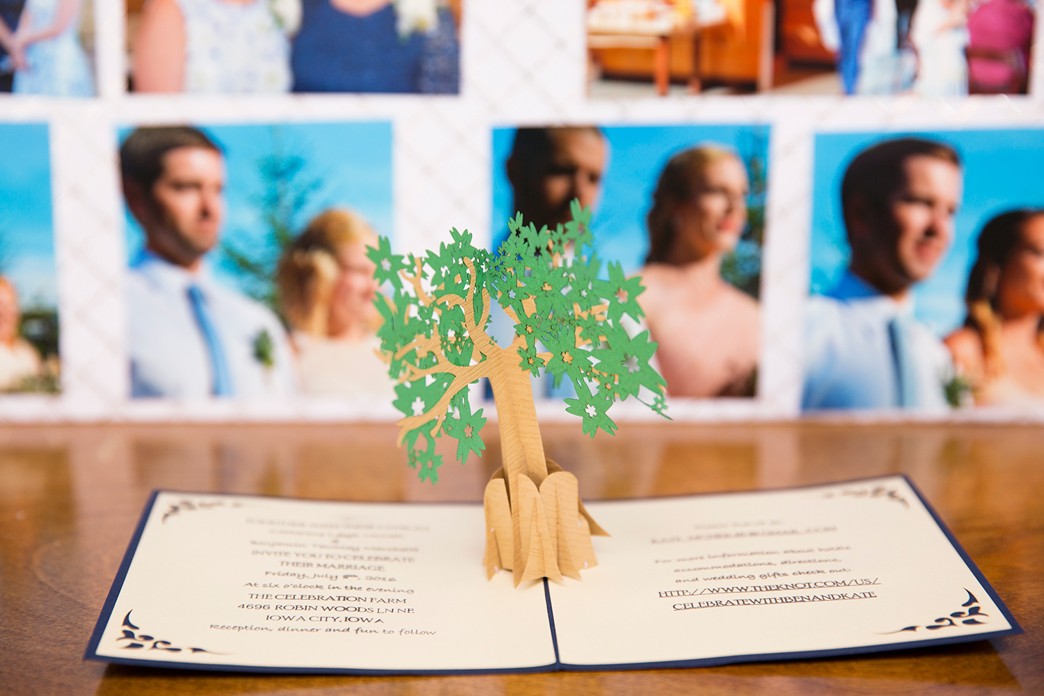 Ben  Kates River Wedding Reception - Image Property of www.j-dphoto.com