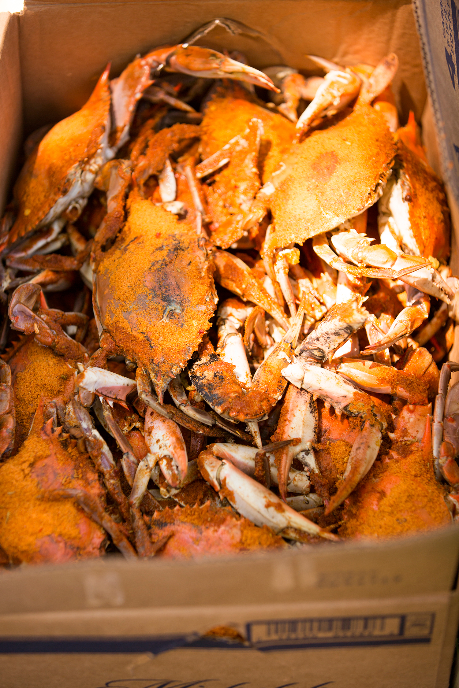 Ben  Kates River Wedding Reception - Image Property of www.j-dphoto.com