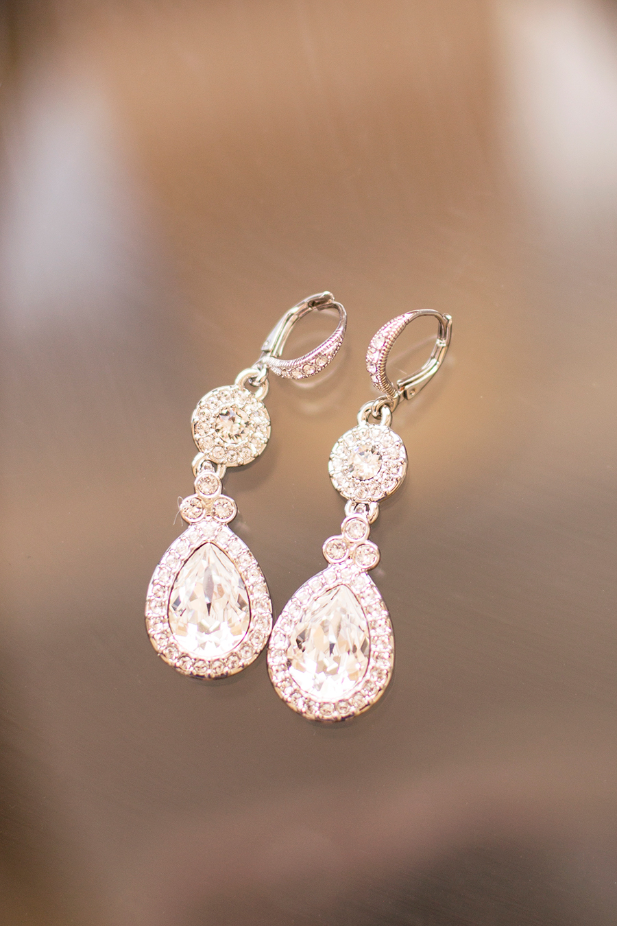 Erin  Johns Wedding at Lewis Ginter Botanical Garden - Image Property of www.j-dphoto.com