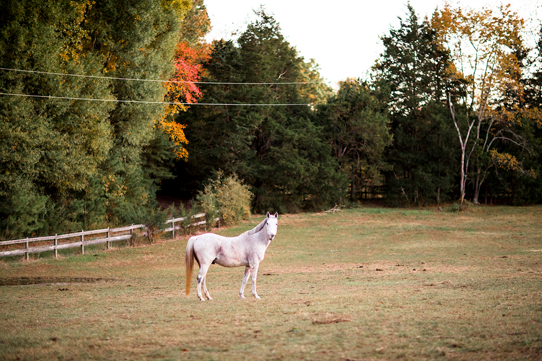 Outdoor Boudoir Shoot on Horse Farm Goochland Virginia - Image Property of www.j-dphoto.com
