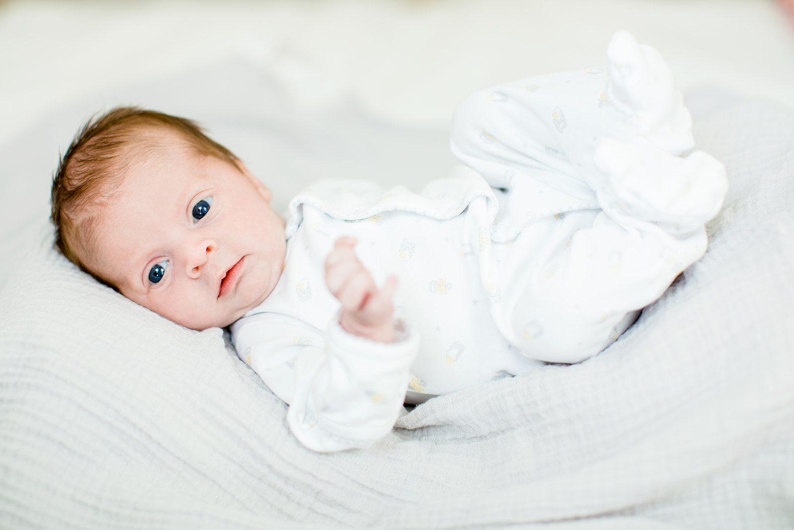 Baby Mellies Newborn Photos - Image Property of www.j-dphoto.com