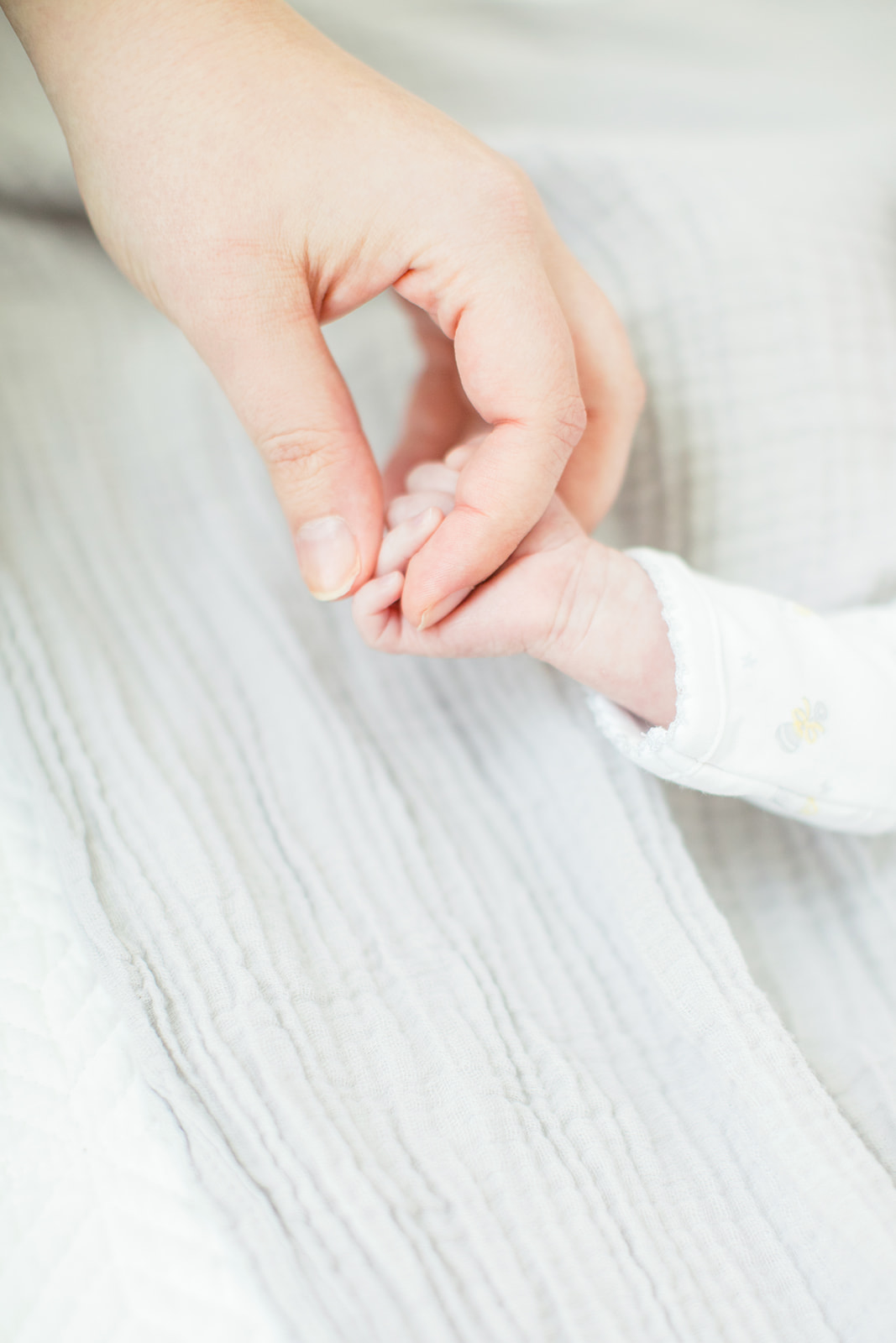 Baby Mellies Newborn Photos - Image Property of www.j-dphoto.com