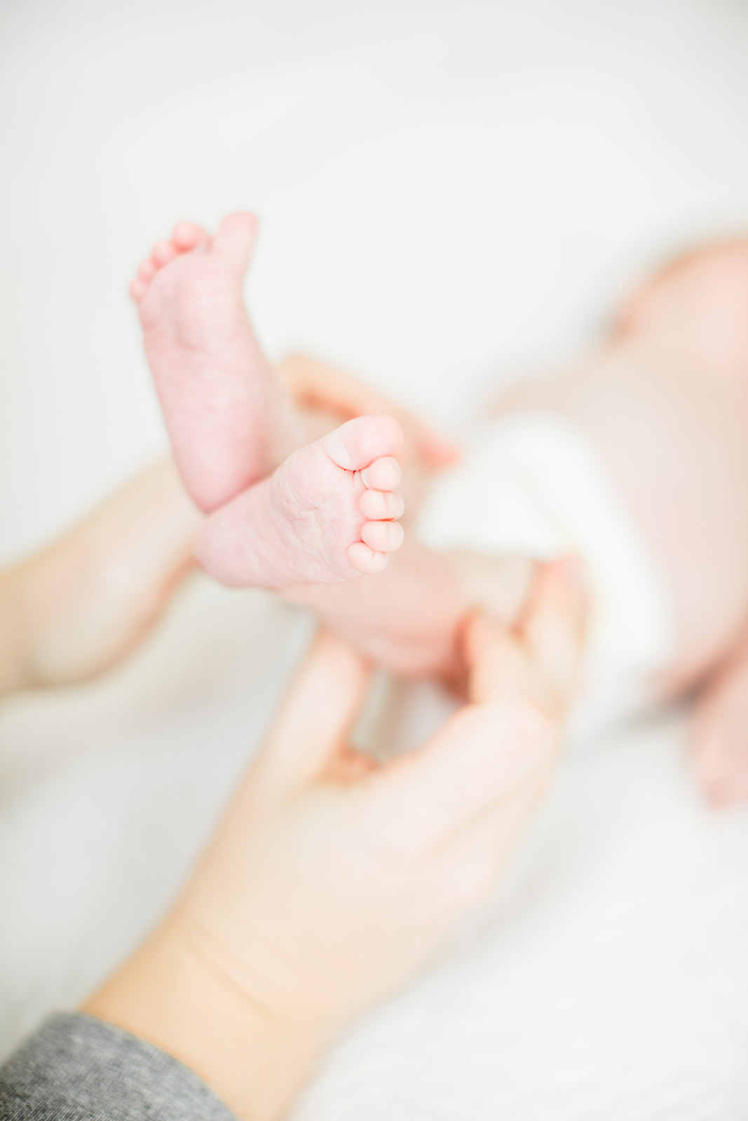 Baby Mellies Newborn Photos - Image Property of www.j-dphoto.com
