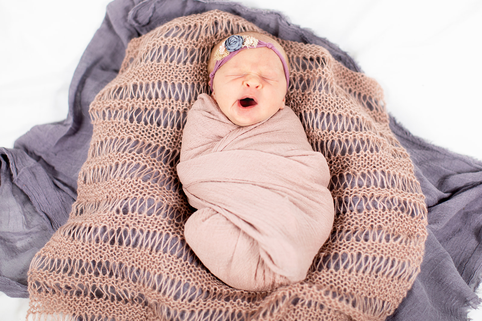 Avonlea Noelles Studio Newborn Photo Shoot - Image Property of www.j-dphoto.com