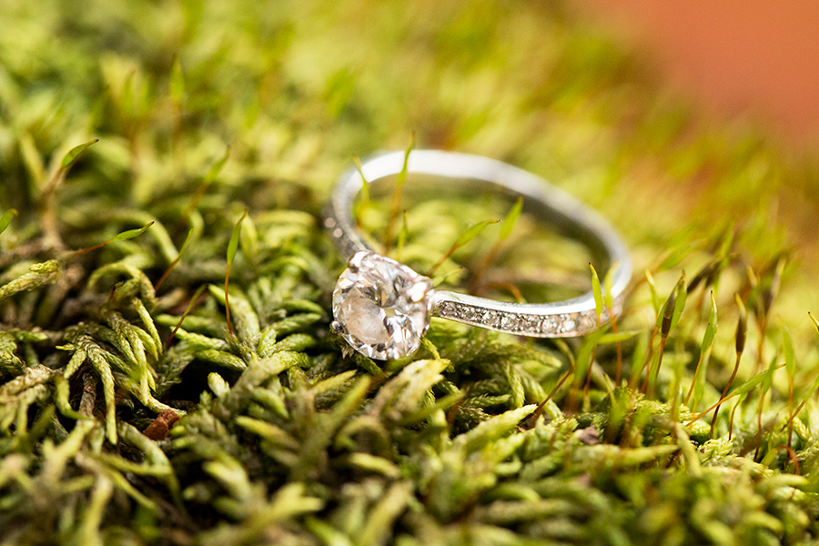 Scott  Rachels Fall Belle Isle Engagement Shoot - Image Property of www.j-dphoto.com